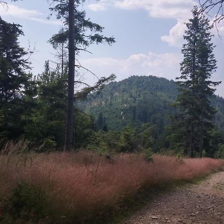 Pod Klimczokiem I Bed & Breakfast Szczyrk Dış mekan fotoğraf