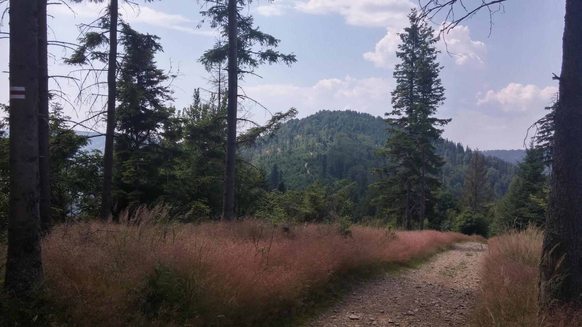 Pod Klimczokiem I Bed & Breakfast Szczyrk Dış mekan fotoğraf