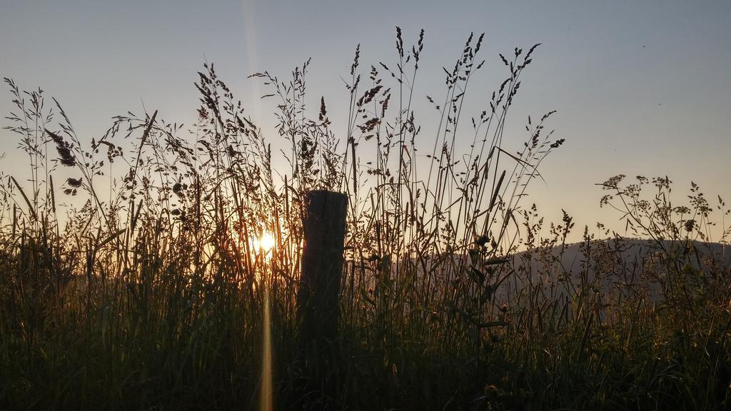 Pod Klimczokiem I Bed & Breakfast Szczyrk Dış mekan fotoğraf