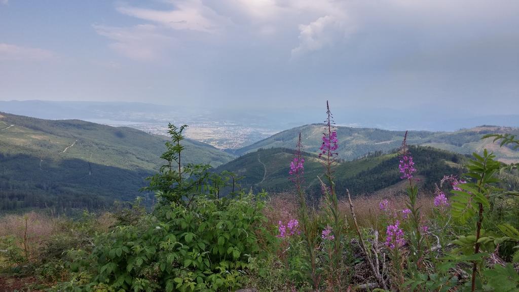 Pod Klimczokiem I Bed & Breakfast Szczyrk Dış mekan fotoğraf