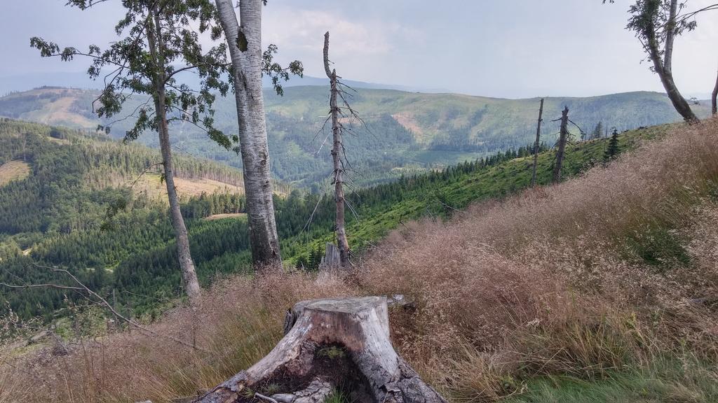 Pod Klimczokiem I Bed & Breakfast Szczyrk Dış mekan fotoğraf