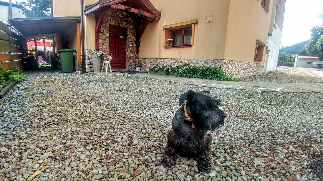 Pod Klimczokiem I Bed & Breakfast Szczyrk Dış mekan fotoğraf
