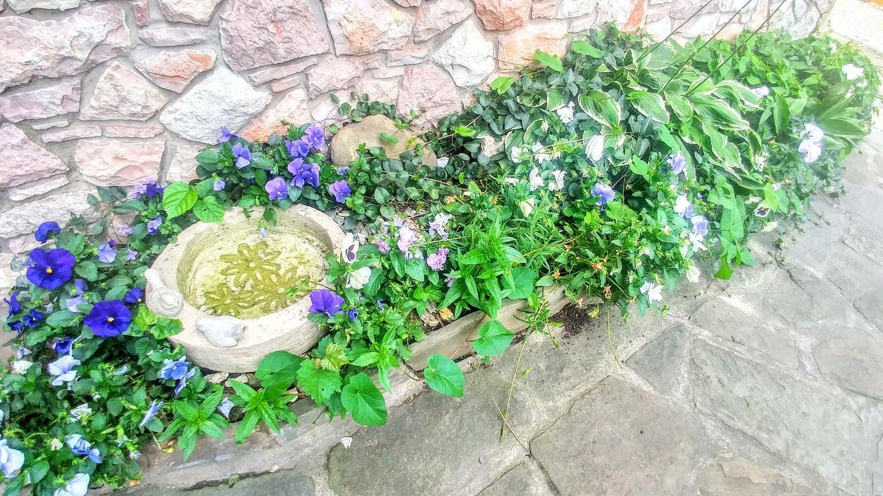 Pod Klimczokiem I Bed & Breakfast Szczyrk Dış mekan fotoğraf
